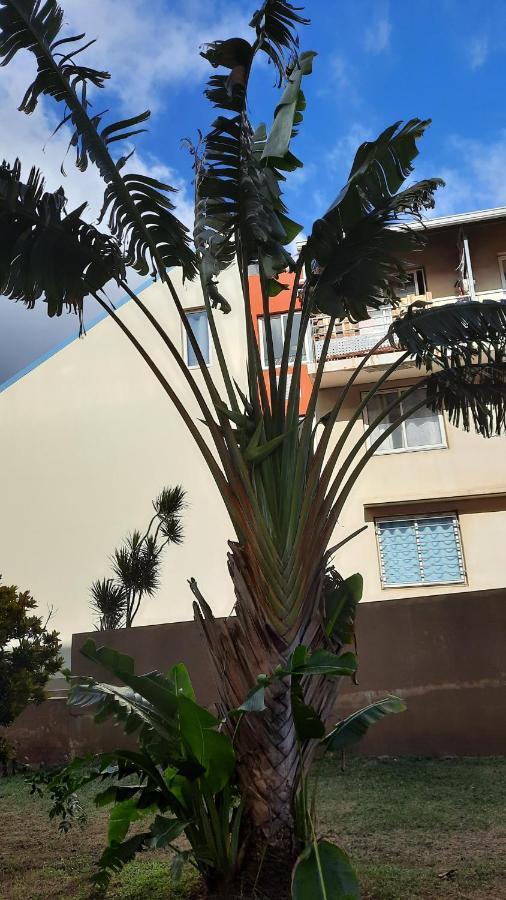 Le Voyageur à Terre-Sainte, Saint-Pierre Apartamento Exterior foto